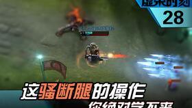 元婴新英雄爆料视频大全